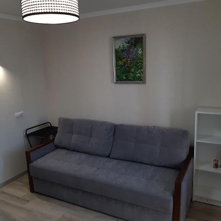 Apartment Near Stadio Metalist Kharkiv Eksteriør billede
