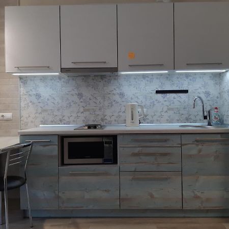 Apartment Near Stadio Metalist Kharkiv Eksteriør billede